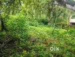 Near keezattingal phc 14cent