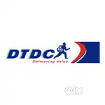 DTDC Collection Boy