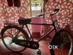 Cycle purani ho gayi