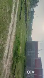 Chamanganj road pe chummak factory se phle jhusi me 275 vrggaj plot