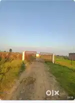 Rewa to mauganj