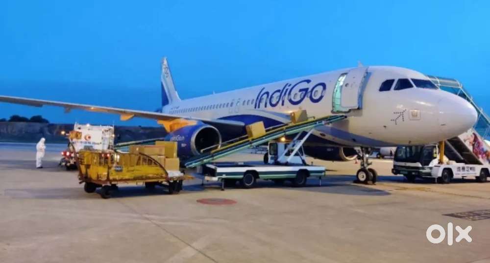 OPEN HIRING ALL OVER INDIA AIRPORTS INDIGO AIRLINES NEED GROUND STAFF
