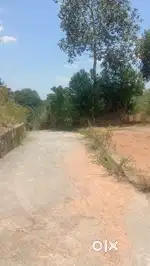 എല്ലാവിധ സൗകര്യങ്ങളും
