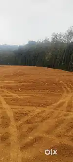രാമപുരം കൂത്താട്ടുകുളം ഹൈവേ സമീപം ഹൗസ് പ്ലോട്ടുകൾ.