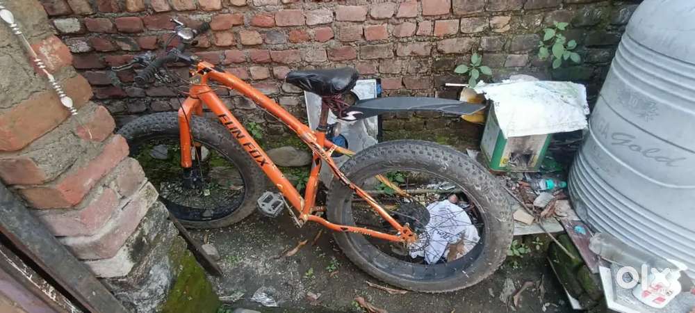 Fat bike flin fox
