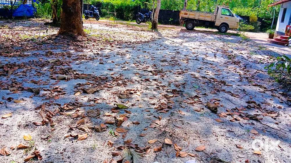 തങ്കി കവല ജംഗ്ഷന് കിഴക്ക് NH 600 മീറ്റർ 2.70 ലക്ഷം