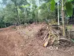 10 cent house plot at chalakudy എലിഞ്ഞപ്ര