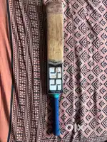 SS limited edition cricket bat