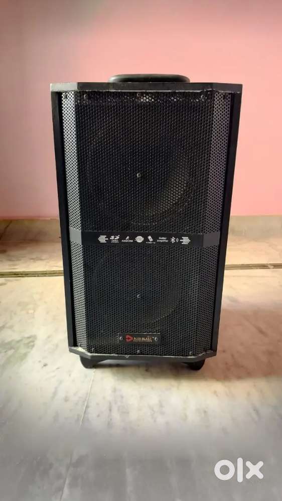 Mike Speaker with mike