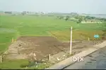Agricultutr land for sale( good for investment)