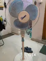 Luminous pedestal fan