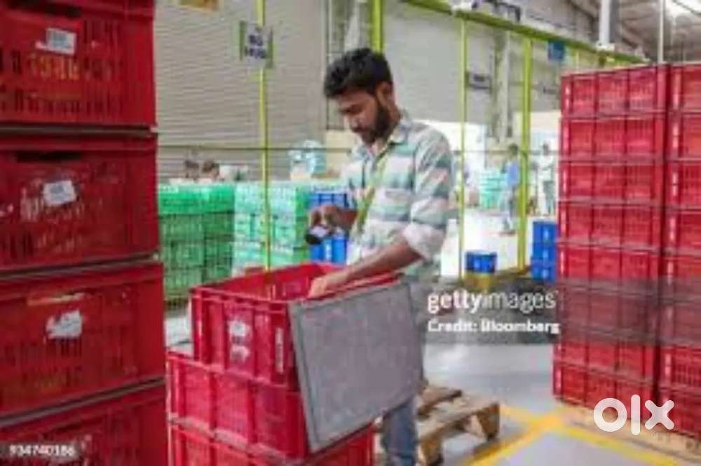 Wanted male/ female packing helpers with food and accomdation