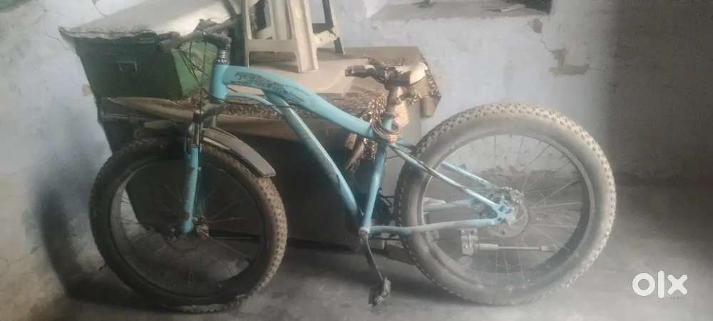 Fat bike (fat tyre mountain cycle)