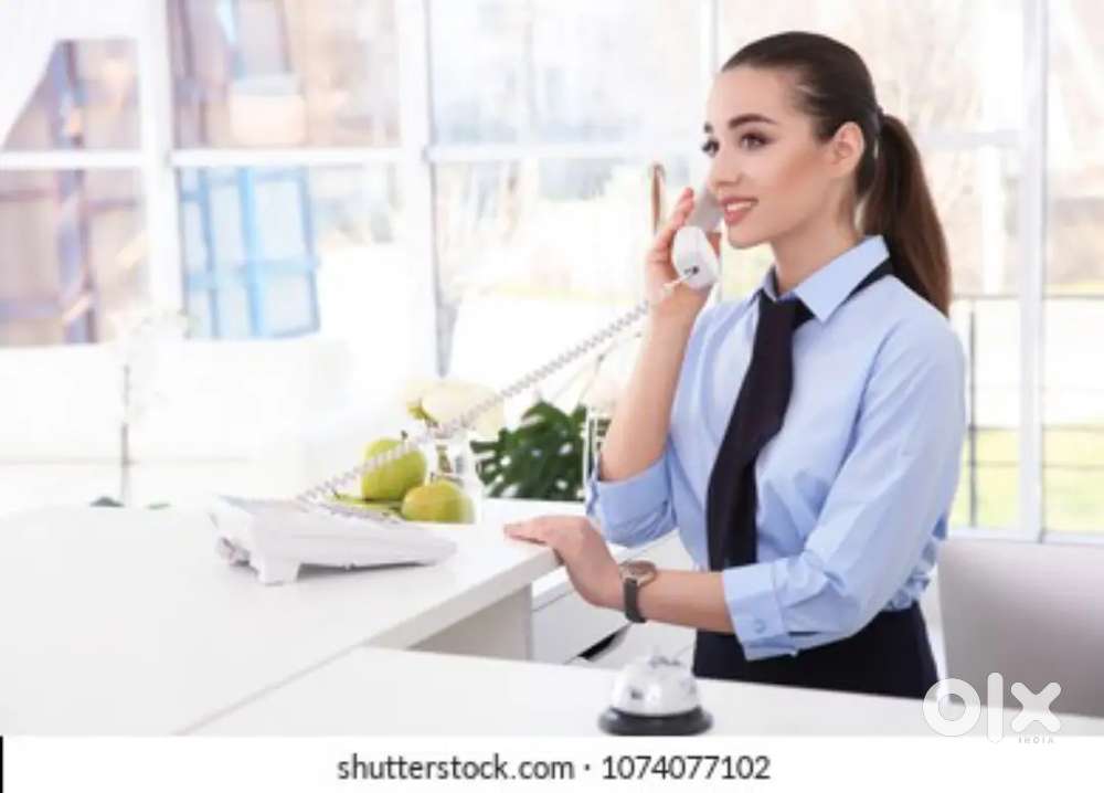Reception girl need in office and restaurants