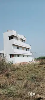 Plot For Sale At Ambika Nagar Tangellamudi Eluru