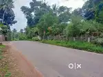 32 CENT COMMERCIAL OR RESIDENTIAL PLOT 7.8 KM INFOPARK KAKKANAD