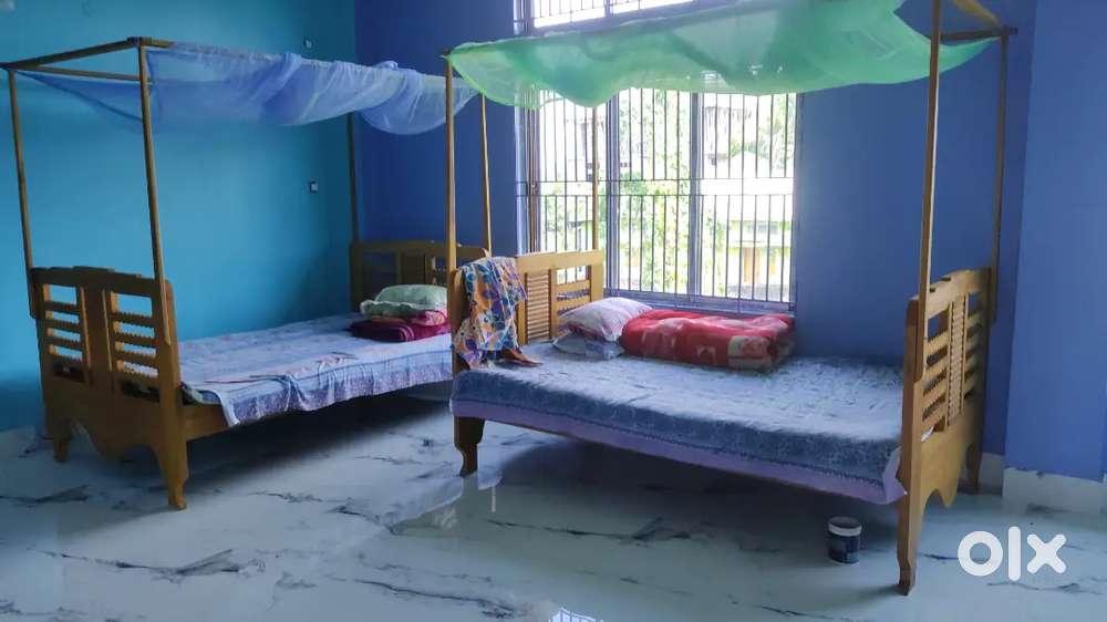 Need A Roommate (5k)