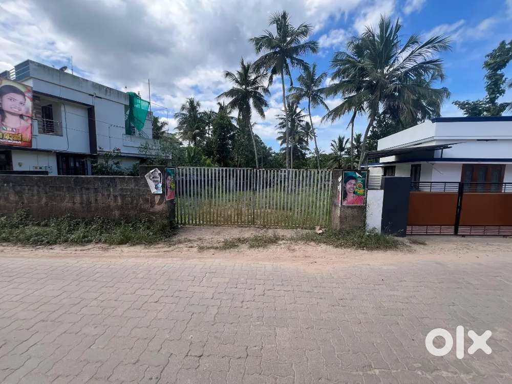 15 Cents Land in Chathavila