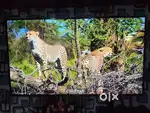 Sony 55 inch 4k ultra(KD 55x8000g)
