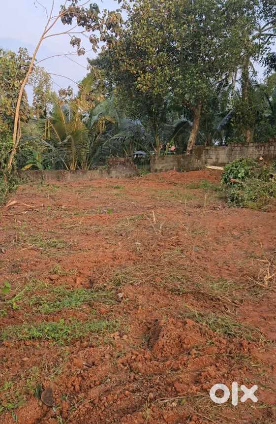 Road side 15 cent plot for sale