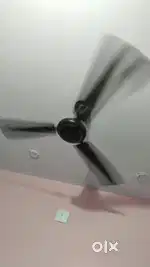 Two ceiling fans longway brand