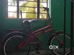 Child cycle