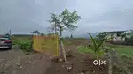 Residential and commercial plots