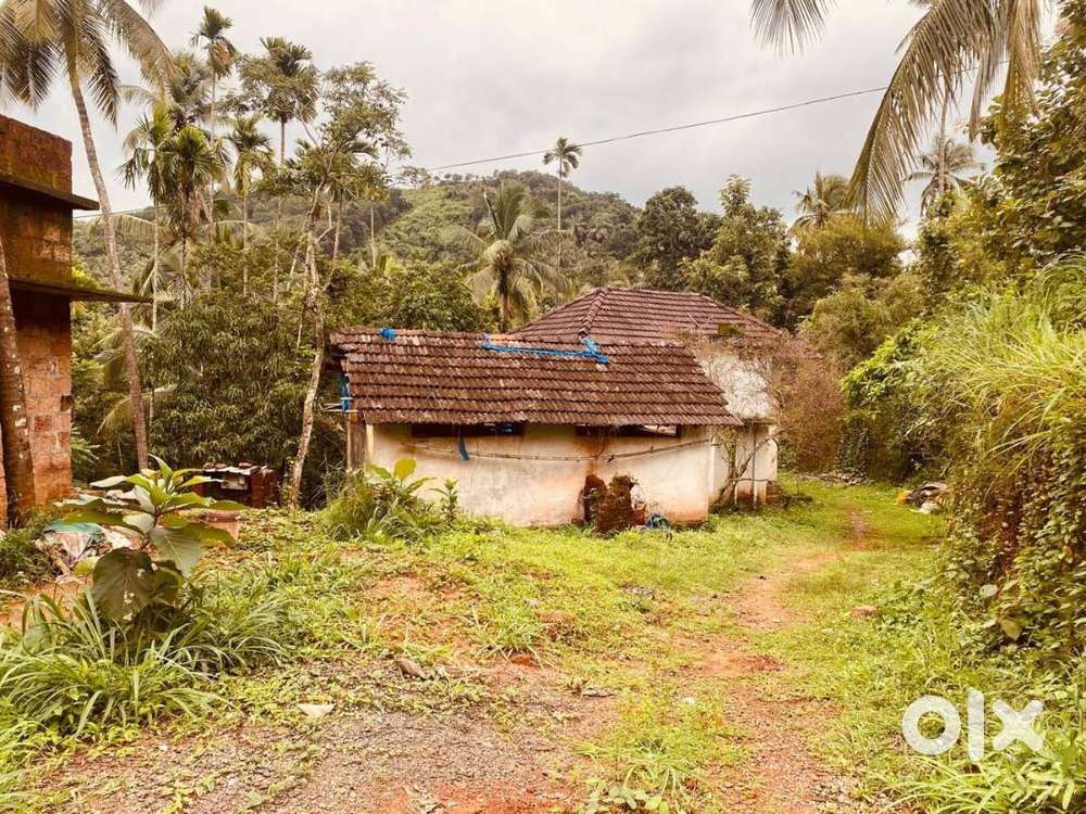 PLOT FOR SALE FOR MAKING HOME AND GODOWN