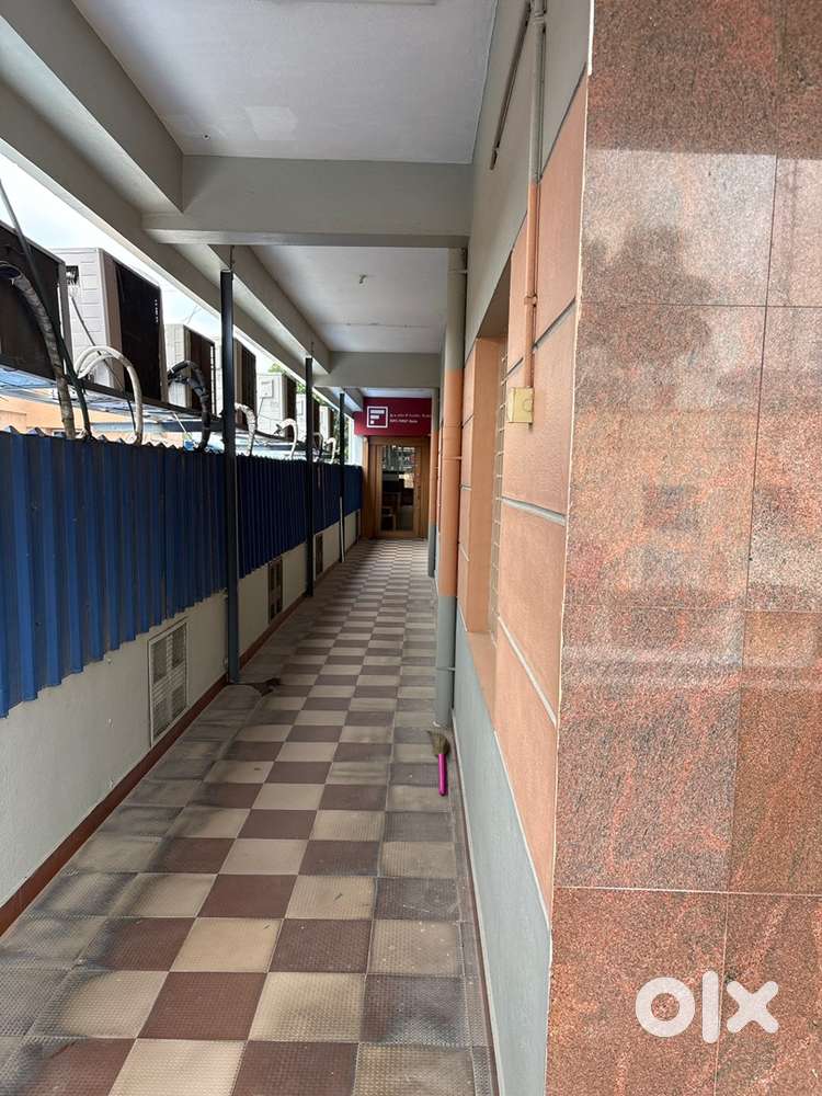 Collection Field Officers