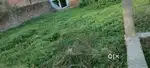 Argent sell for plot bakli colony
