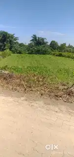 Land for sale 1bigha