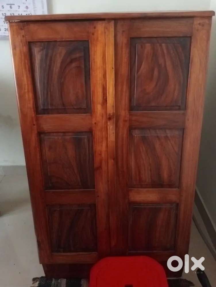 Female Therapist & Assistant therapist