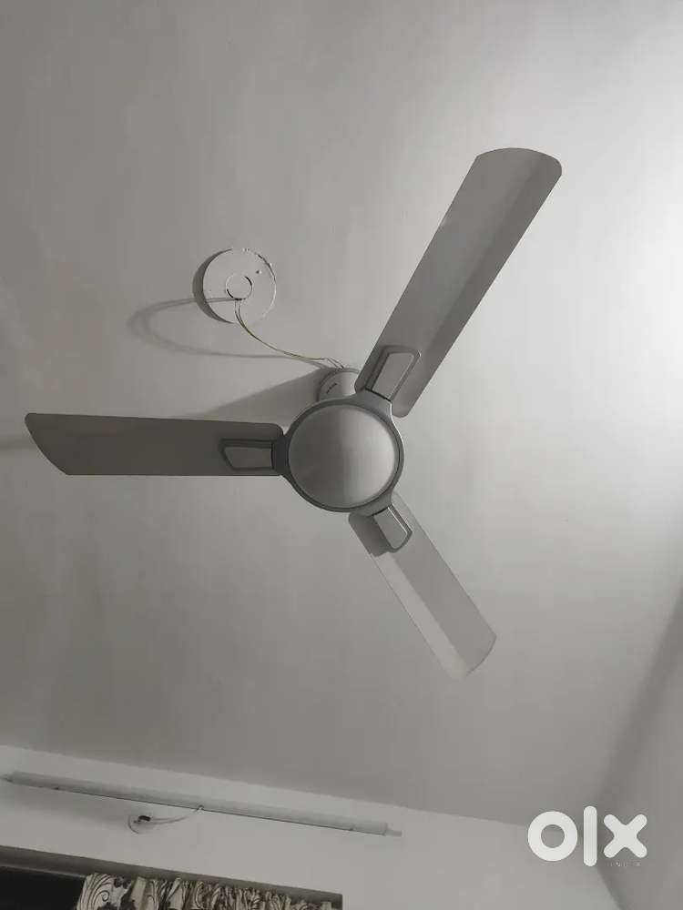 Ceiling fan