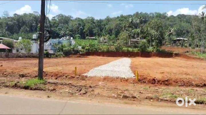 Commercial and House Plots for sale