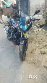 Saroja rout
