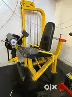 Leg Extension and Leg Curl Machine