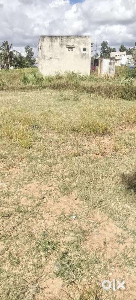 Gunta proferty for sale in Chandrapura road hilalage