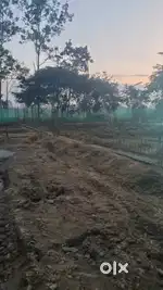 Back of income tax office tinsukia