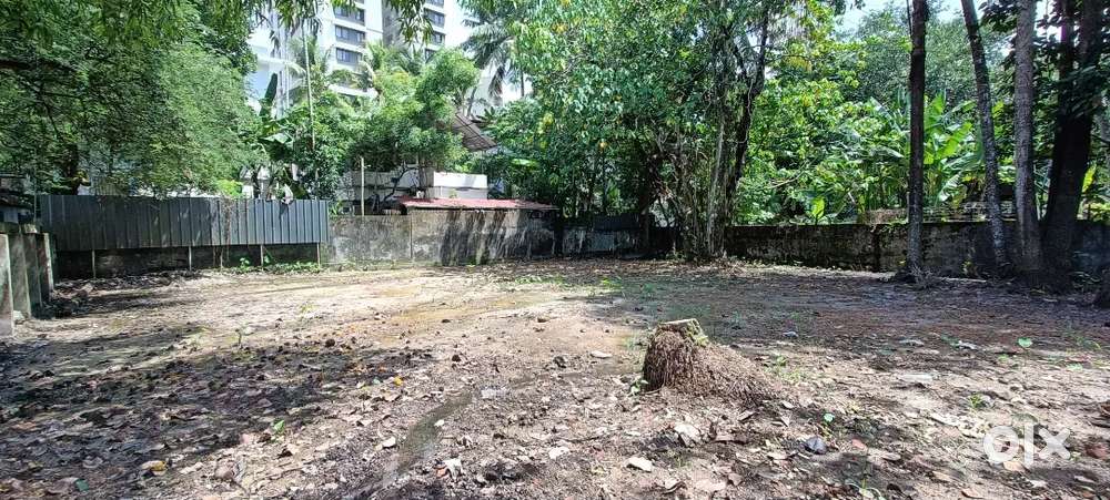 5 Cent Original Land for Sale Kaloor.
