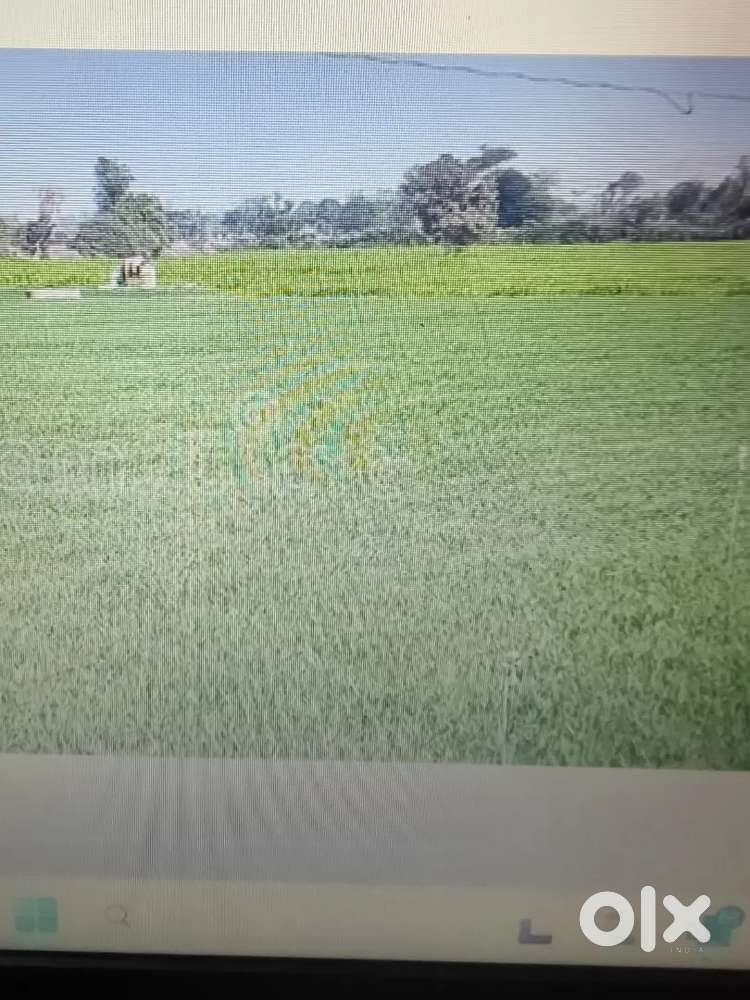 Land +प्लॉट साफ सुथरी जमीन एकल खाता कटान का रास्ता प्लॉटिंग लाईक भूमि