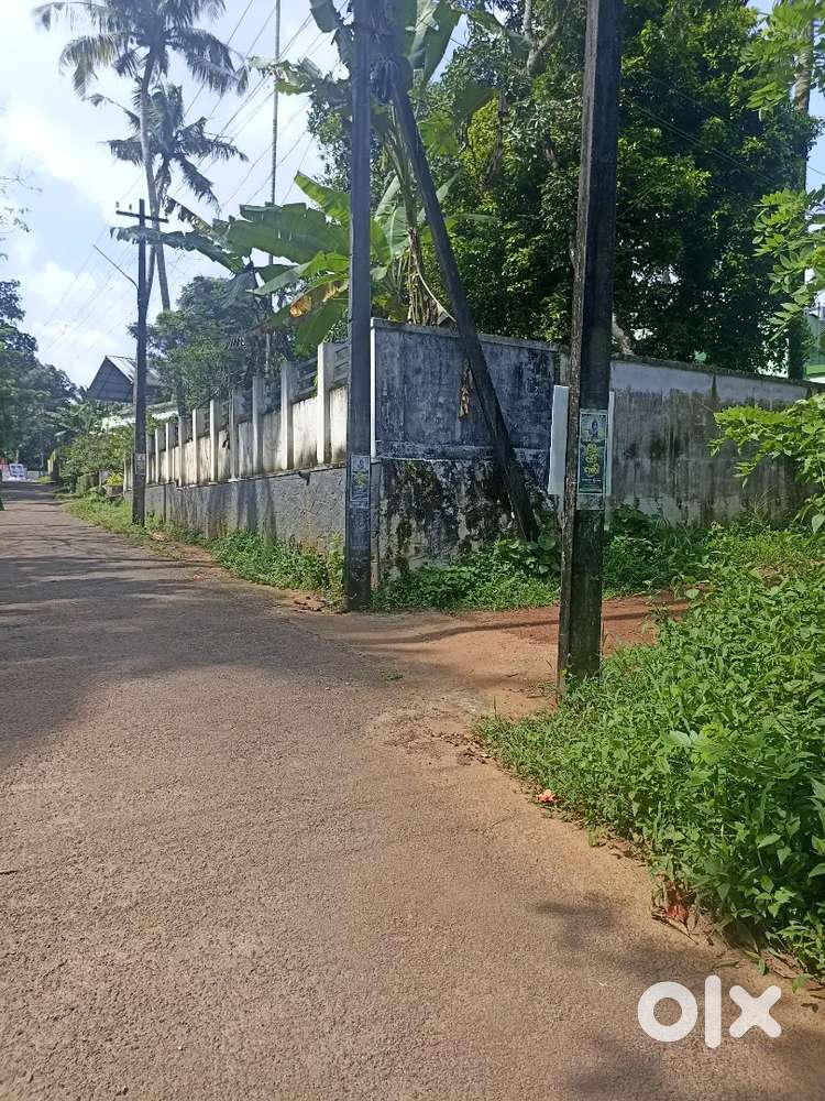 Nearby Address: South Thanissery, Kakkulissery.