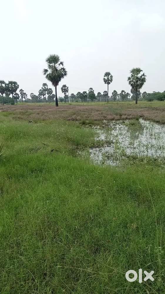 1.2 ACRE AGRICULTURE LAND SALE