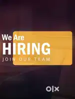 Wanted sales man