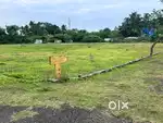 Urgent sale DTCP plots GST road