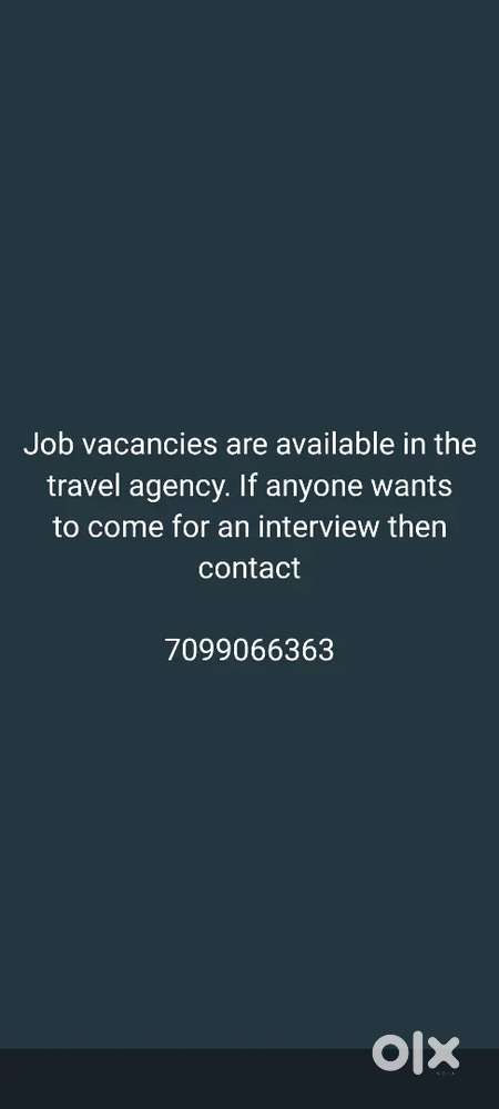 Ticketing Executive