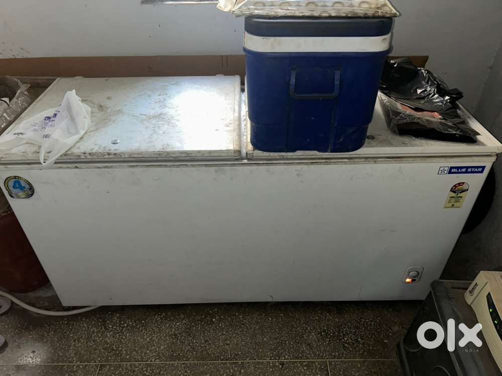 Deep Freezer Blue Star 500L