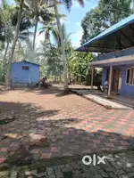 66 cent houseplot near karumthra temple kainady