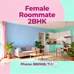 Need Girl Roommate