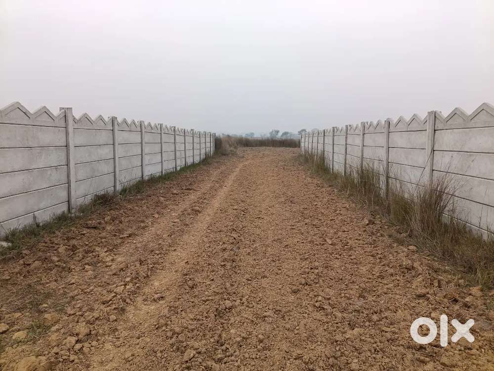 Registered land for sale