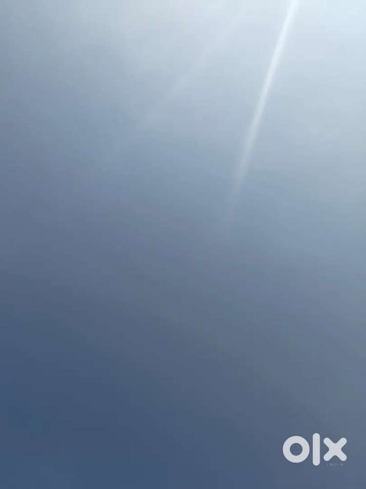 Helper ,cook ,chef , at least have some knowledge in cooking